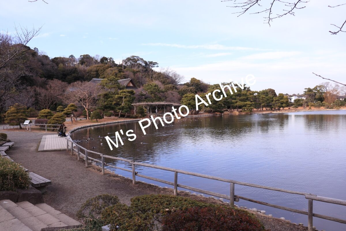 三溪園の池と日本庭園の風景